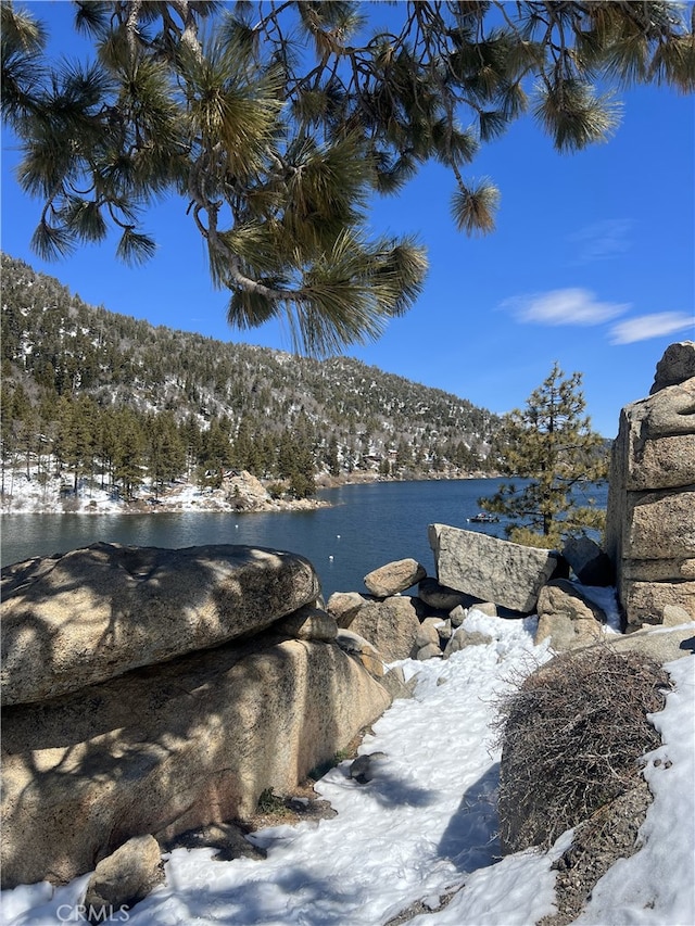 property view of water with a mountain view