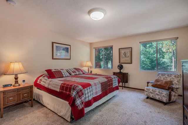 carpeted bedroom with multiple windows