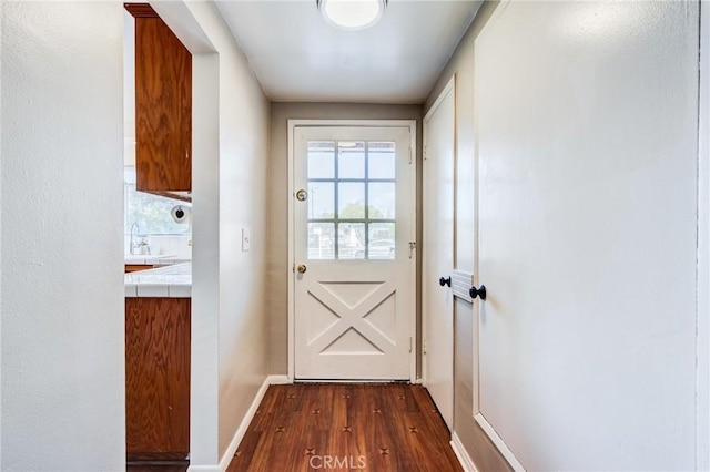 doorway featuring dark hardwood / wood-style floors and sink