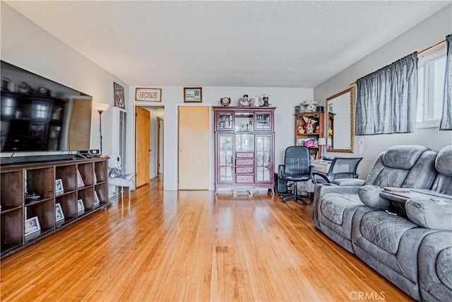 living room featuring a textured ceiling and hardwood / wood-style flooring