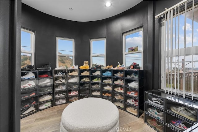 walk in closet with wood-type flooring