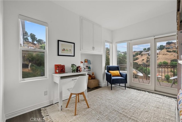 8350 Hillcroft Dr, West Hills, CA 91304 - office featuring plenty of natural light, baseboards, and wood finished floors