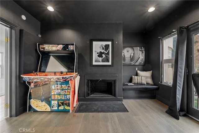 living room with wood-type flooring