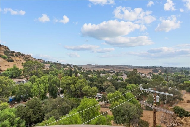 birds eye view of property featuring a mountain view