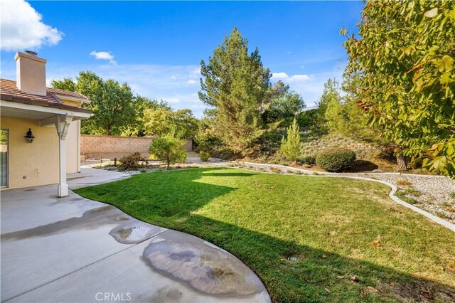 view of yard with a patio