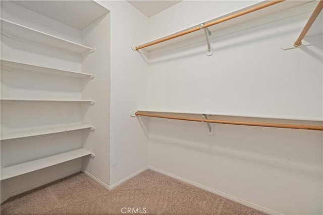 spacious closet with light colored carpet