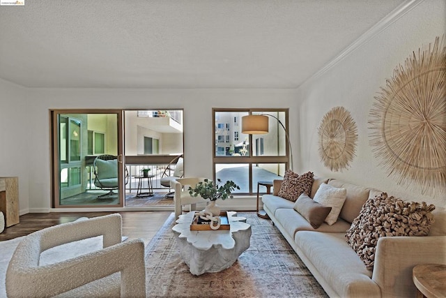 living room featuring crown molding, hardwood / wood-style floors, and a textured ceiling