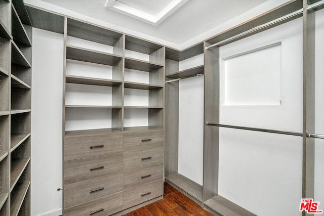 walk in closet featuring dark hardwood / wood-style flooring