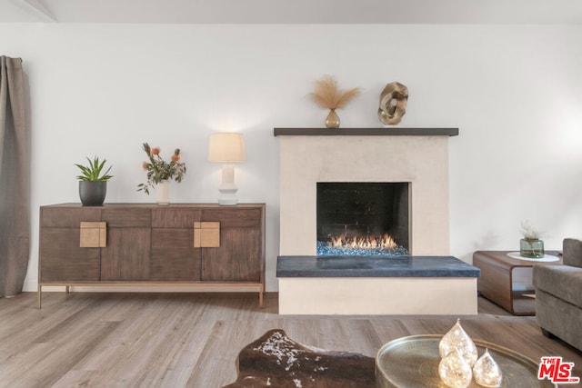 living room featuring light hardwood / wood-style floors