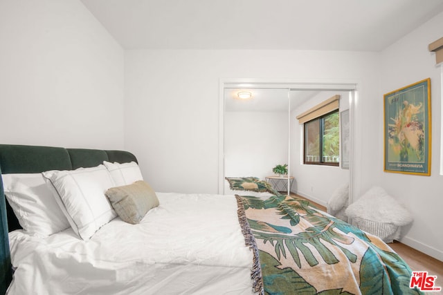 bedroom featuring wood-type flooring and a closet