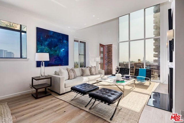 living room featuring light wood-type flooring