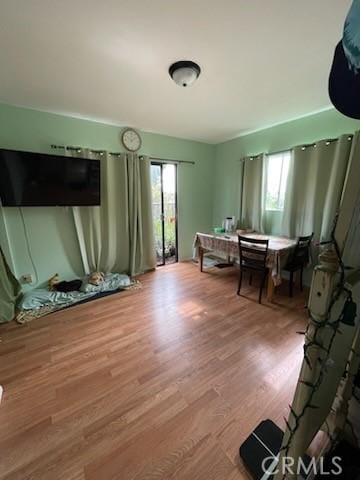 misc room featuring plenty of natural light and wood-type flooring