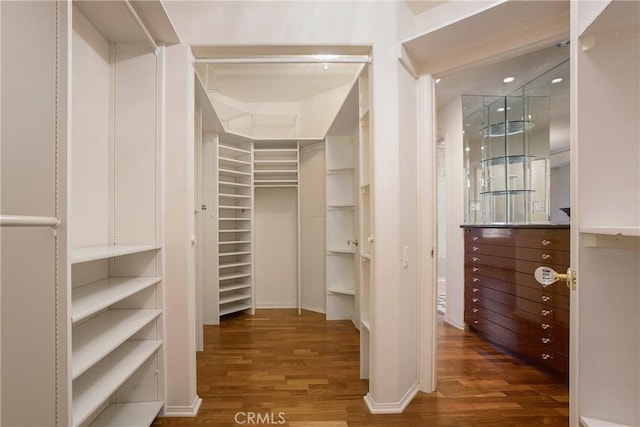 spacious closet featuring dark hardwood / wood-style floors