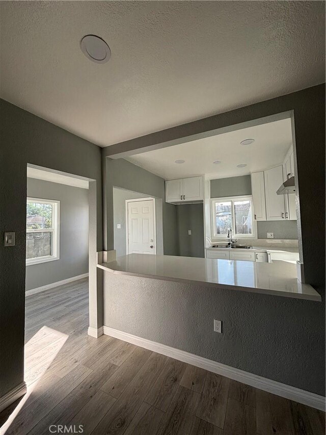 kitchen featuring white cabinetry, plenty of natural light, wood-type flooring, and sink