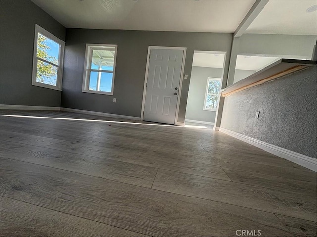 foyer with a wealth of natural light and dark hardwood / wood-style floors