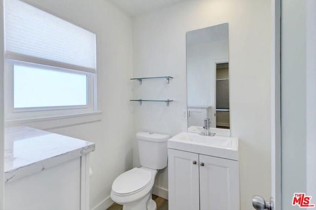 bathroom with toilet and vanity