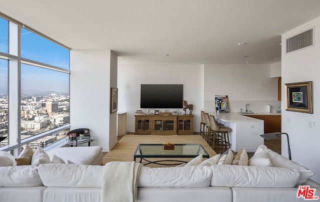 living room featuring plenty of natural light and sink