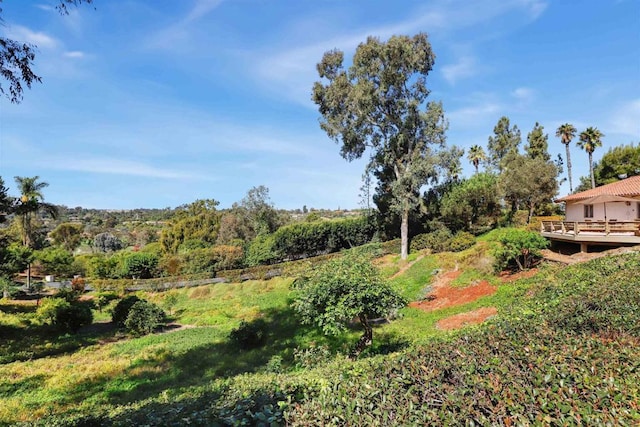 view of yard featuring a deck