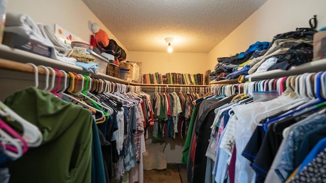 walk in closet featuring carpet