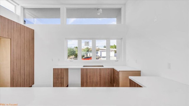 kitchen featuring a towering ceiling