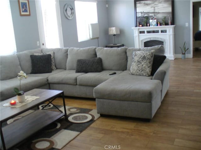 living room with hardwood / wood-style floors