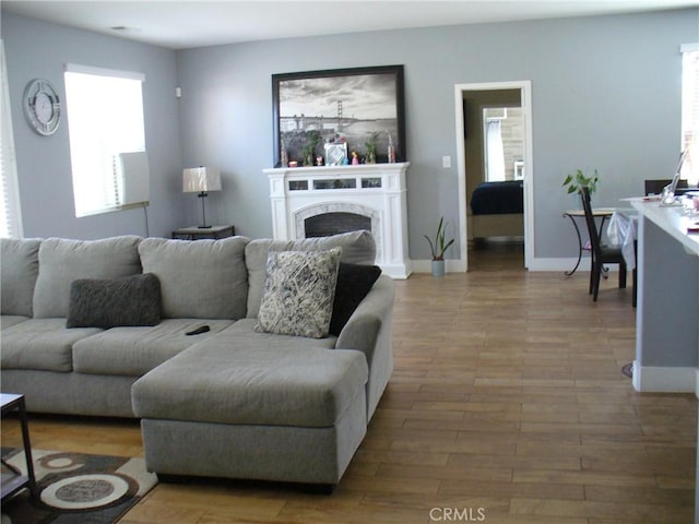 living room featuring hardwood / wood-style flooring