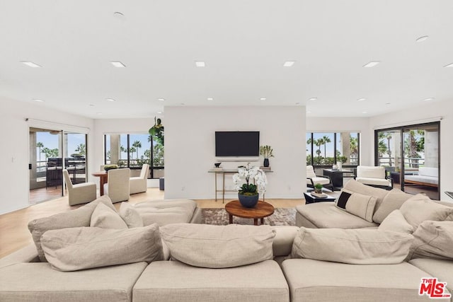 living room featuring plenty of natural light, light hardwood / wood-style floors, and french doors