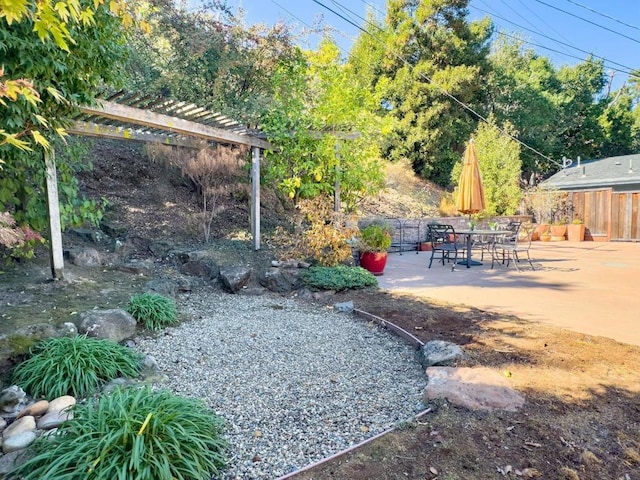 view of yard featuring a patio area