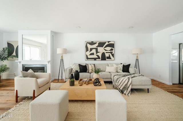 living room with wood-type flooring