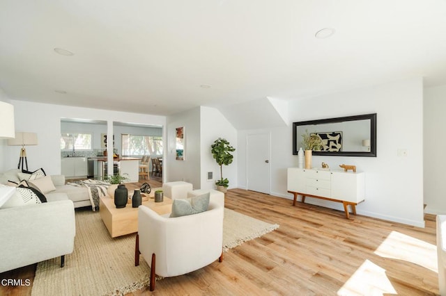 living room featuring light hardwood / wood-style flooring