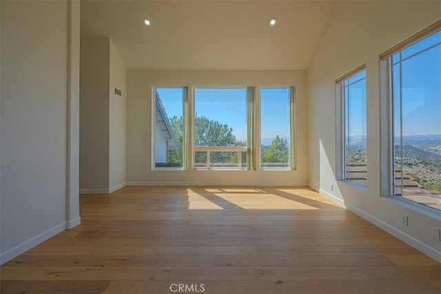 interior space featuring lofted ceiling and a healthy amount of sunlight