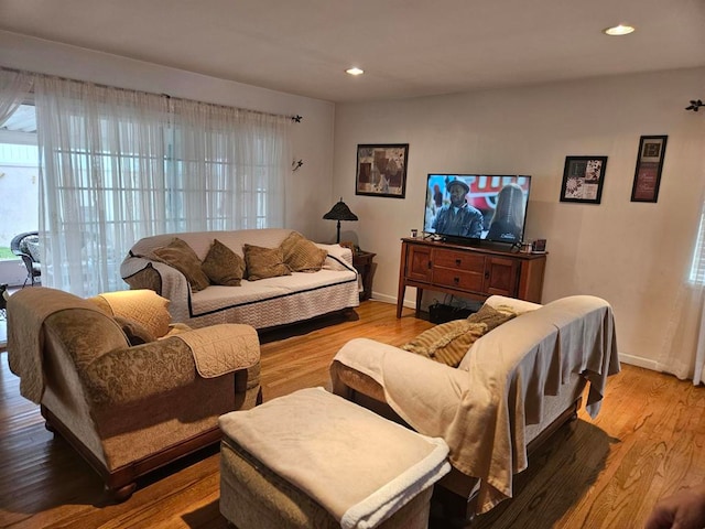 living room with hardwood / wood-style floors