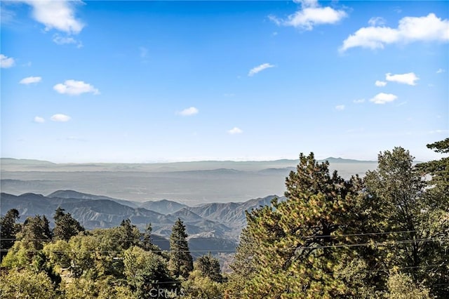 31600 City Creek Rd, Running Springs, CA 92382 - mountain view