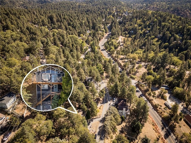 31600 City Creek Rd, Running Springs, CA 92382 - aerial view of a forest