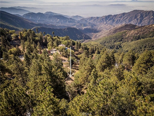 view of mountain feature with a wooded view