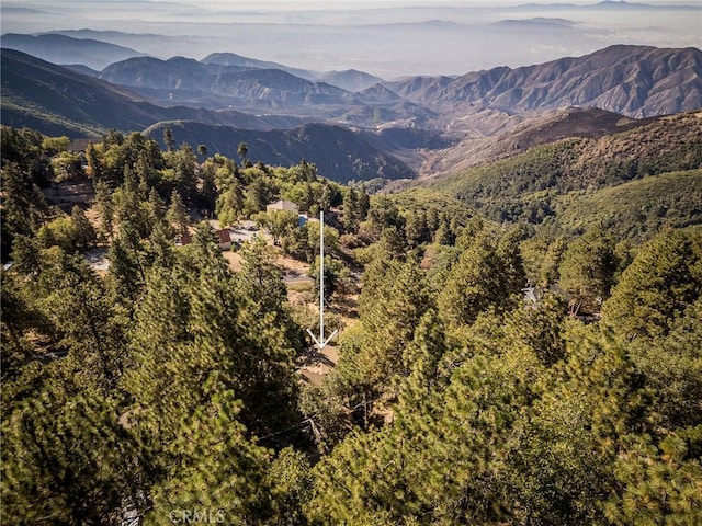 31600 City Creek Rd, Running Springs, CA 92382 - view of mountain background with a heavily wooded area