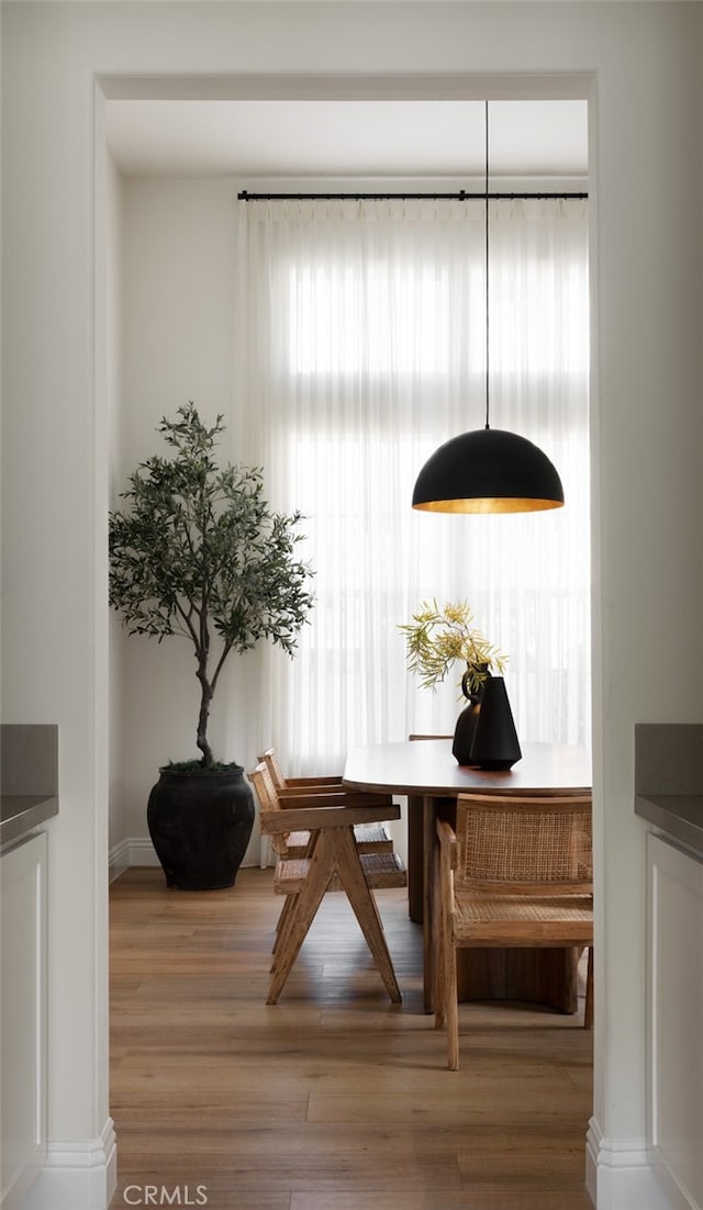 interior space with hardwood / wood-style flooring