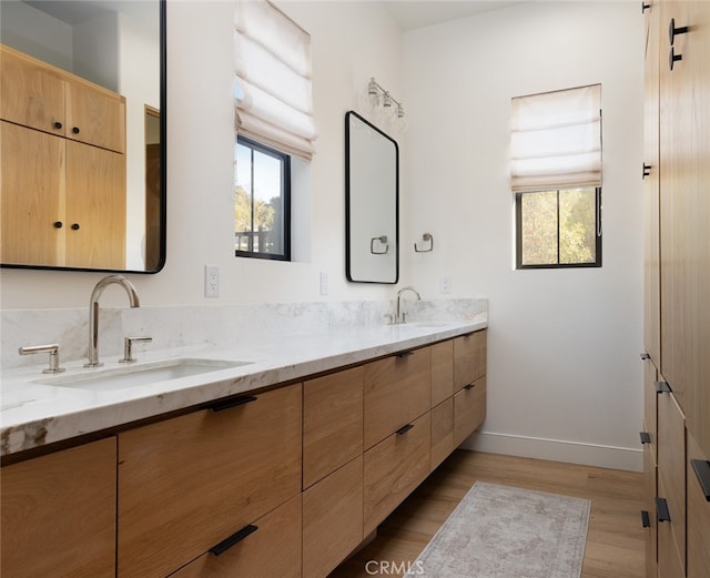 bathroom featuring vanity, hardwood / wood-style flooring, and a healthy amount of sunlight