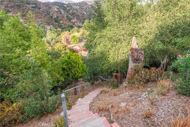 view of yard with a mountain view