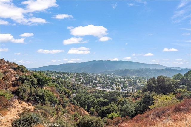 view of mountain feature