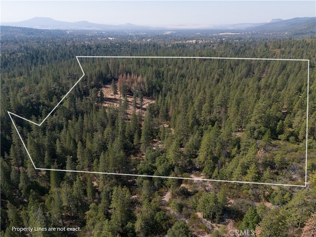 5901 Manton Ponderosa Way, Manton CA, 96059 land for sale