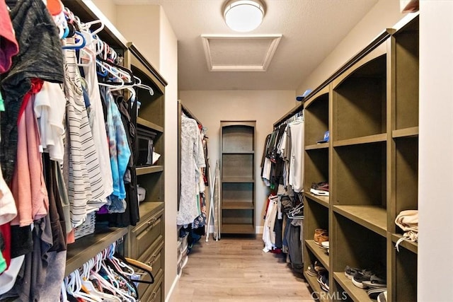 walk in closet with light wood-type flooring