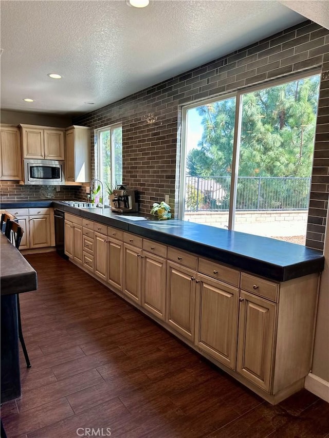 kitchen featuring a textured ceiling, dark hardwood / wood-style floors, stainless steel microwave, and a healthy amount of sunlight