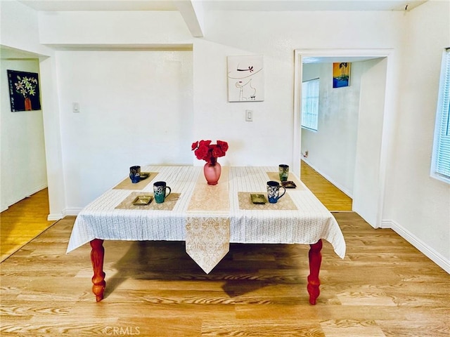 dining space featuring hardwood / wood-style floors and a wealth of natural light