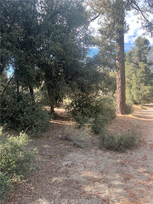 2417 Freeman Dr, Pine Mountain Club CA, 93222 land for sale