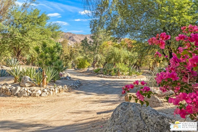 view of street featuring a mountain view