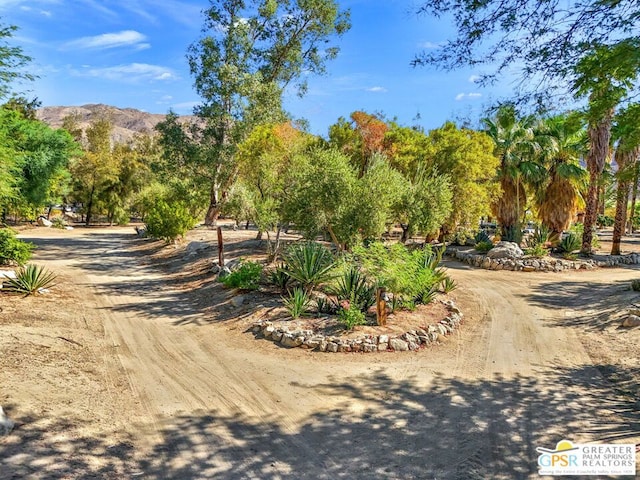 view of home's community featuring a mountain view