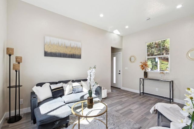 living room with hardwood / wood-style floors