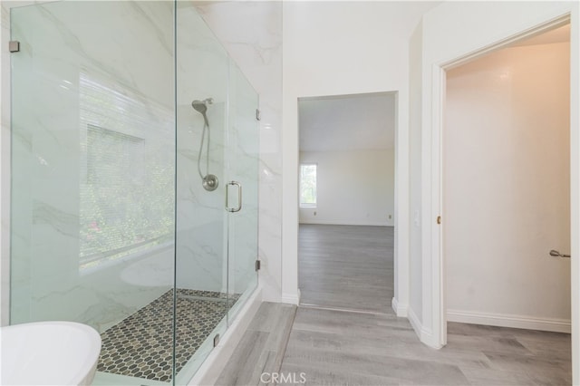 bathroom featuring a shower with door and hardwood / wood-style floors