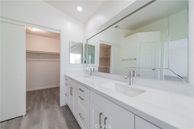 bathroom with vanity and wood-type flooring